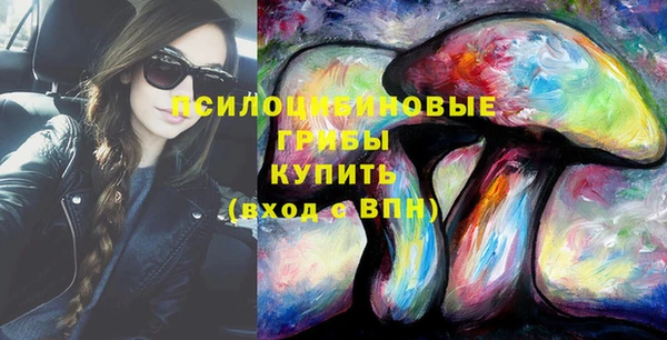 хмурый Белокуриха