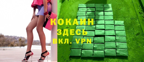 хмурый Белокуриха