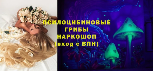 метамфетамин Богданович