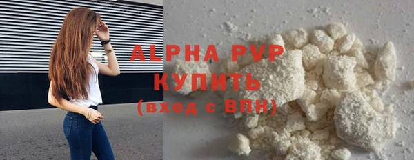 индика Козловка