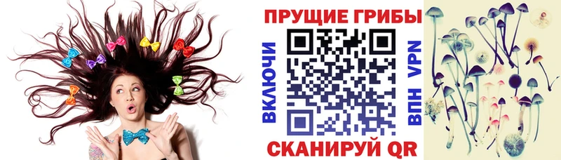 Псилоцибиновые грибы ЛСД ОМГ ОМГ как войти Бахчисарай